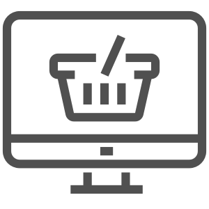 web development service