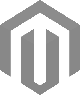 web development service